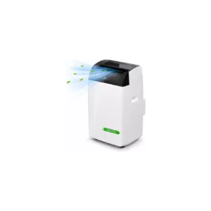 Climatiseur réversible DAITSU APD_12FCX