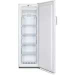 Congelateur-armoire-ESSENTIELB-ECAV170-55hib3-DN-ELECTRO-235630257.webp