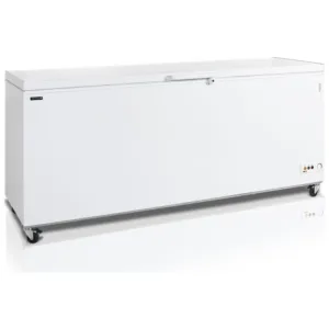 Congélateur pro TEFCOLD 16162