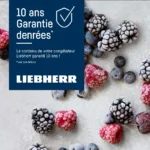 D-11251.webp