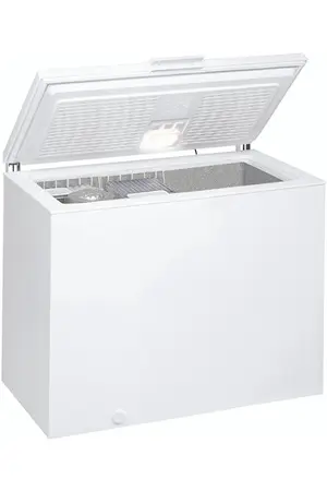 Thomson-TCH316E-congelateur-coffre-DUMANOIR-159840756.webp